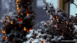 https://upforme.ru/uploads/001c/36/d0/25/t870314.gif
