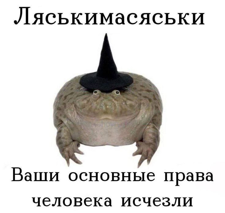 https://upforme.ru/uploads/001c/36/d0/251/139210.jpg