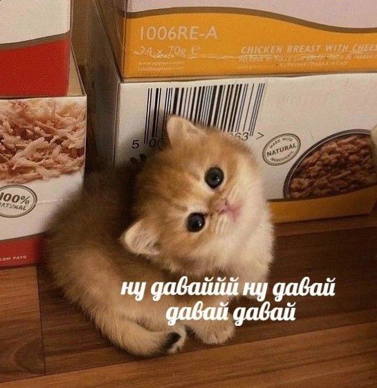 https://upforme.ru/uploads/001c/36/d0/251/967766.jpg