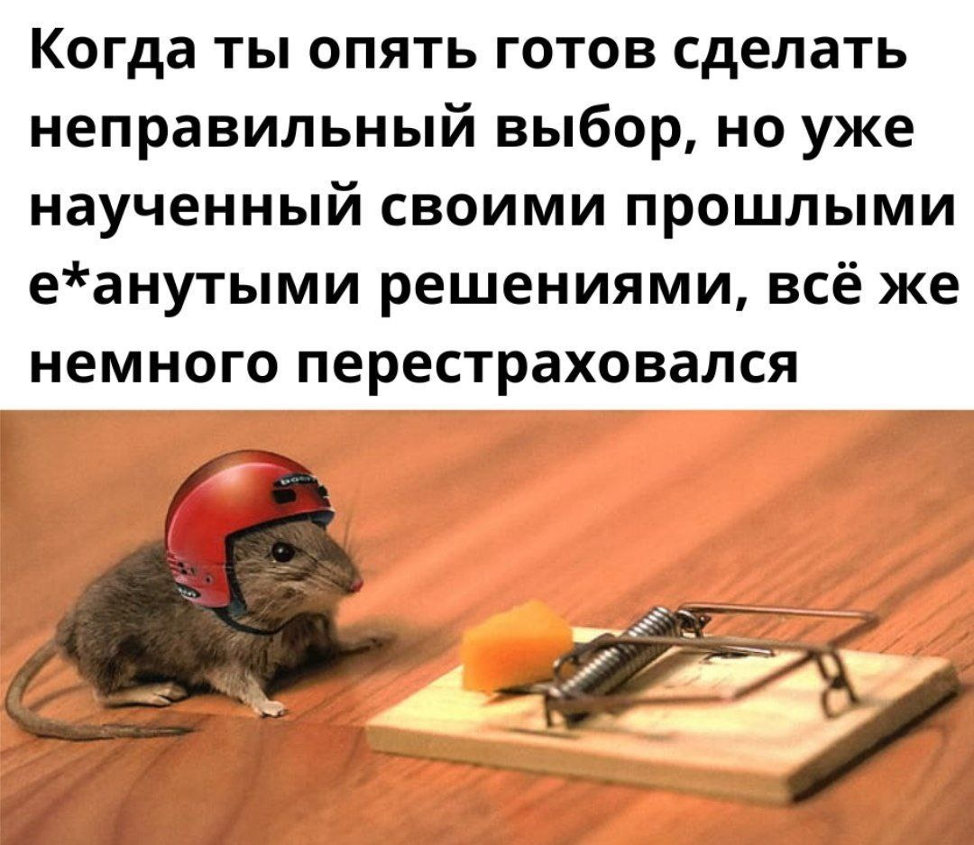 https://upforme.ru/uploads/001c/36/d0/267/578694.png
