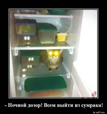 https://upforme.ru/uploads/001c/36/d0/281/t257895.jpg