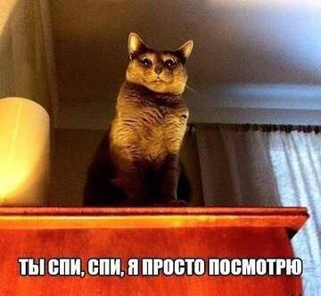 https://upforme.ru/uploads/001c/36/d0/281/t396197.jpg