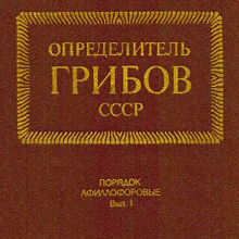 https://upforme.ru/uploads/001c/36/d0/33/426319.jpg