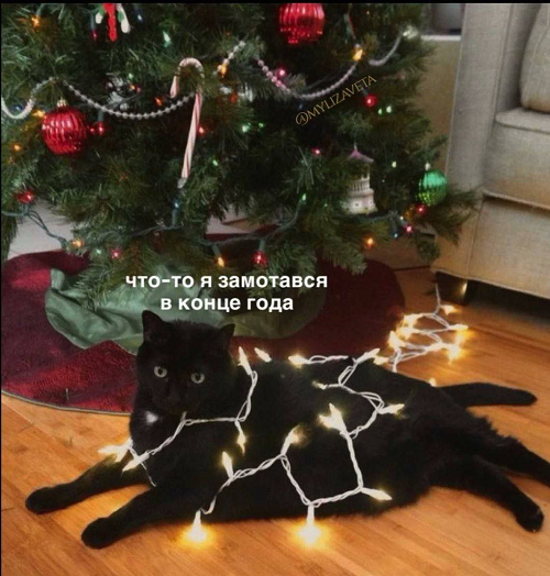 https://upforme.ru/uploads/001c/36/d0/4/155481.png