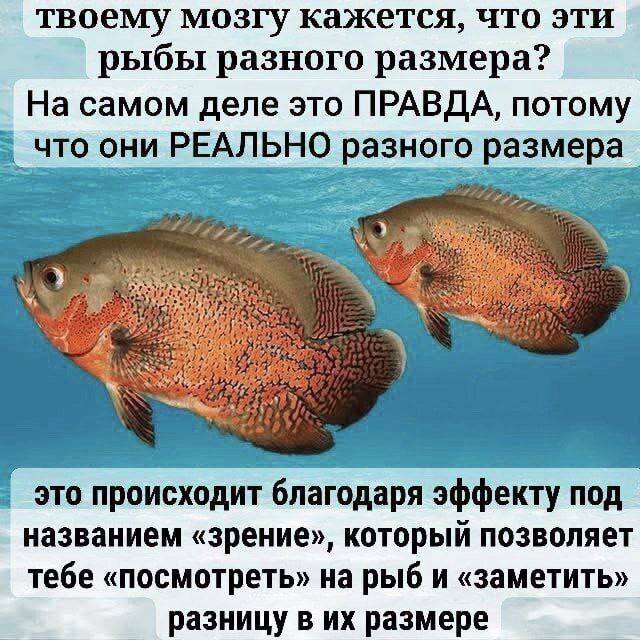 https://upforme.ru/uploads/001c/36/d0/4/300711.jpg