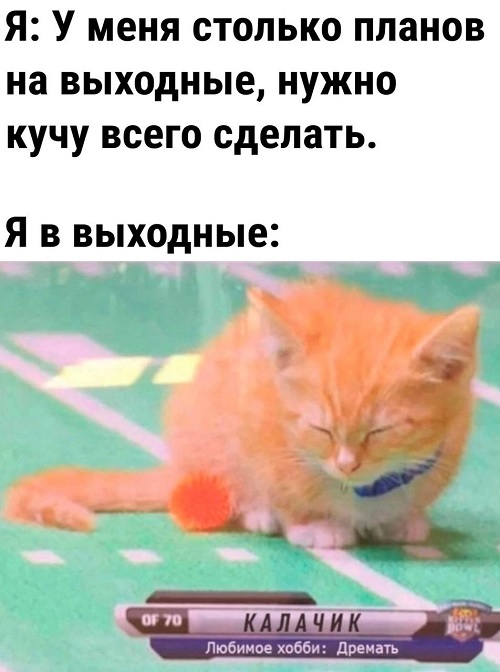 https://upforme.ru/uploads/001c/36/d0/4/309153.jpg