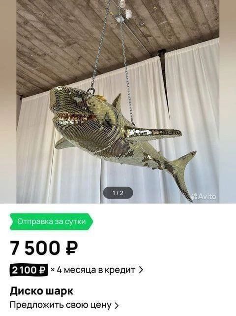https://upforme.ru/uploads/001c/36/d0/4/330157.jpg