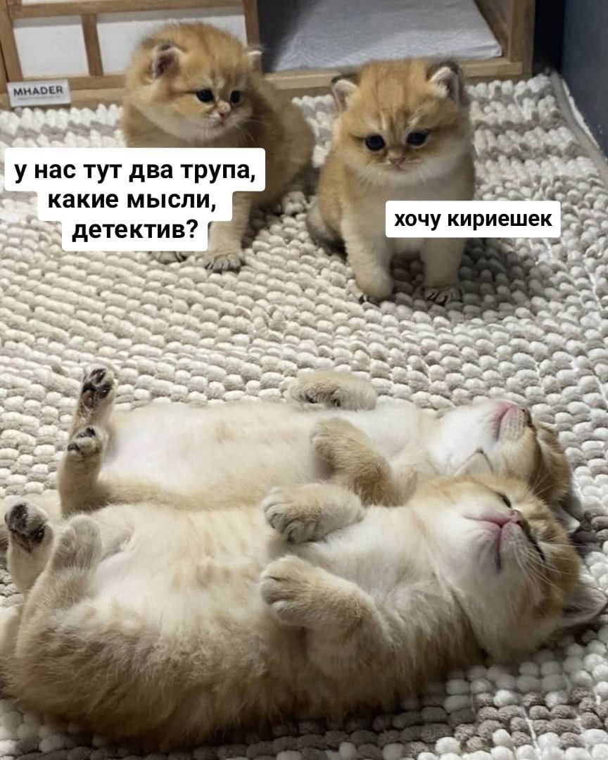 https://upforme.ru/uploads/001c/36/d0/4/337436.jpg