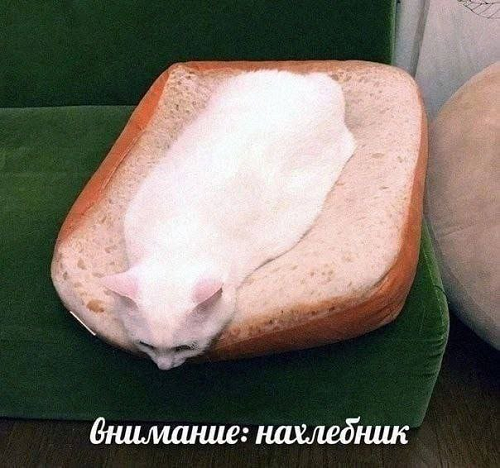 https://upforme.ru/uploads/001c/36/d0/4/418260.png