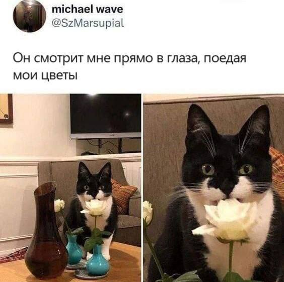 https://upforme.ru/uploads/001c/36/d0/4/448146.jpg