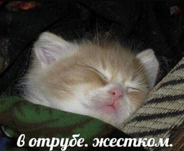 https://upforme.ru/uploads/001c/36/d0/4/49982.png