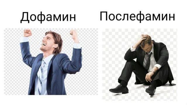 https://upforme.ru/uploads/001c/36/d0/4/520356.jpg