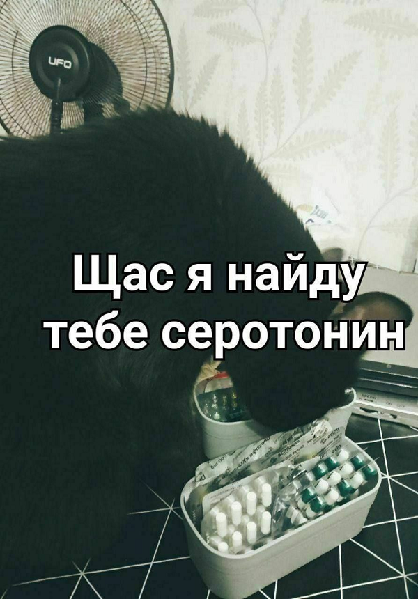 https://upforme.ru/uploads/001c/36/d0/4/522940.png