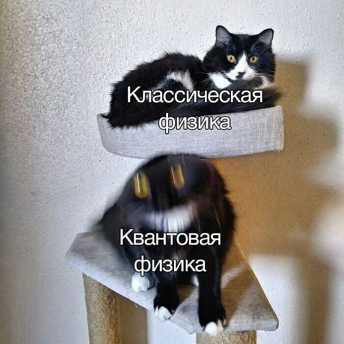 https://upforme.ru/uploads/001c/36/d0/4/525726.jpg