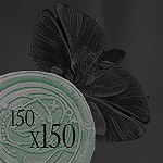 https://upforme.ru/uploads/001c/36/d0/4/616328.png