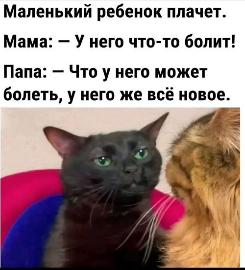 https://upforme.ru/uploads/001c/36/d0/4/638489.png
