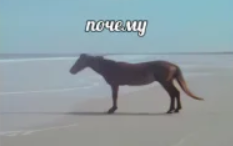 https://upforme.ru/uploads/001c/36/d0/4/713099.png