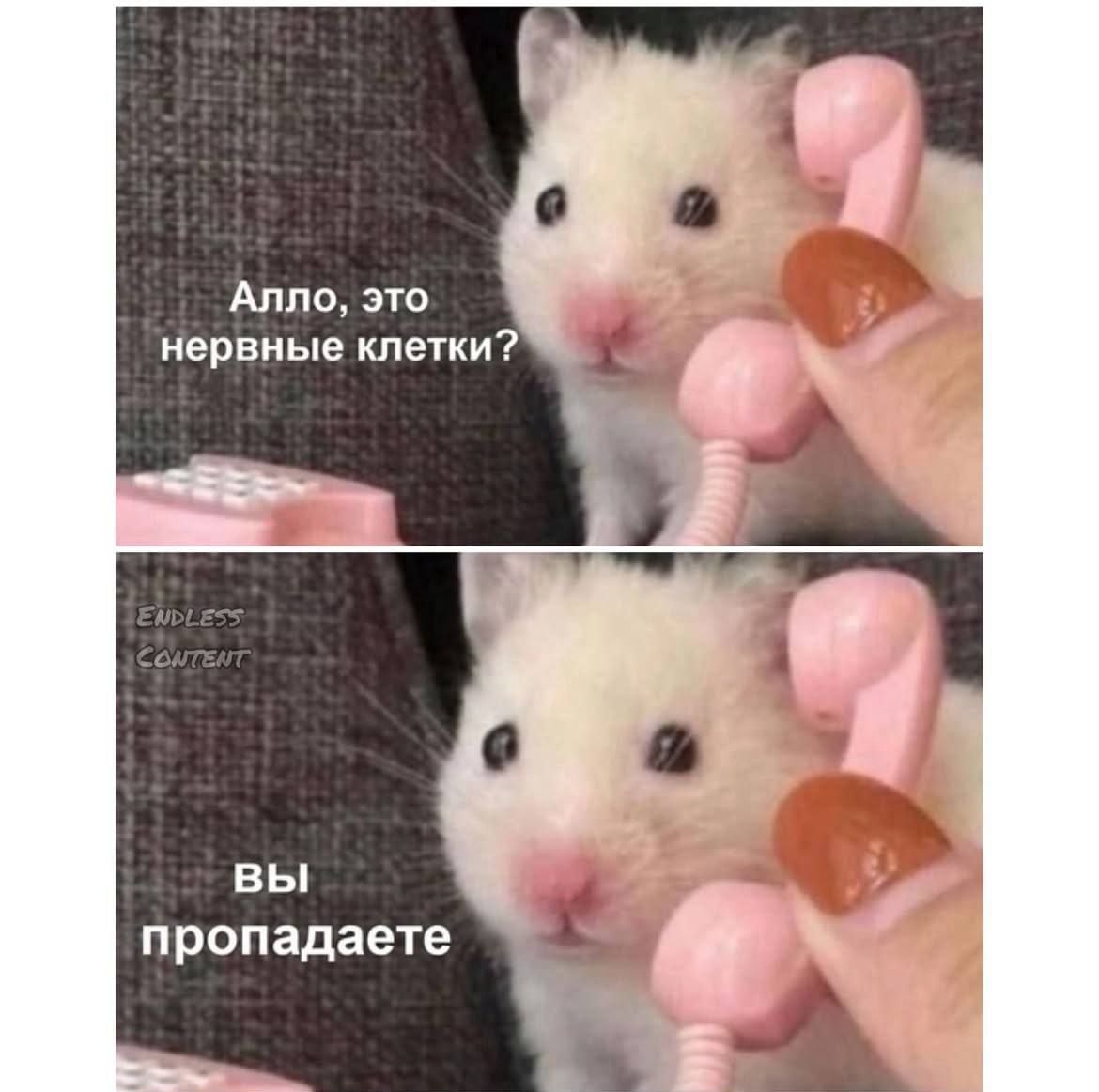 https://upforme.ru/uploads/001c/36/d0/4/984580.jpg