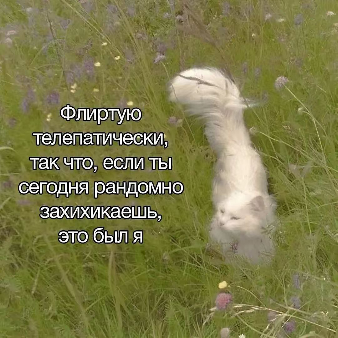 https://upforme.ru/uploads/001c/36/d0/4/987373.jpg