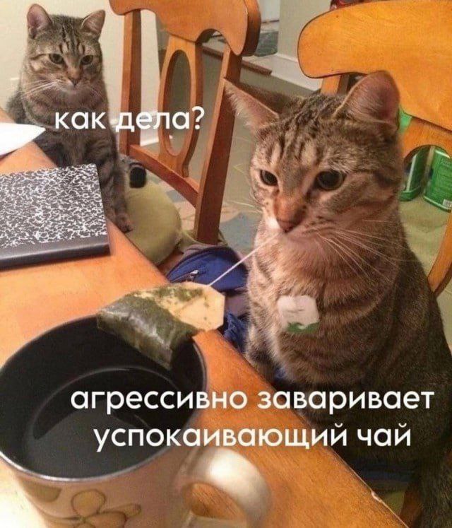 https://upforme.ru/uploads/001c/36/d0/49/132409.jpg