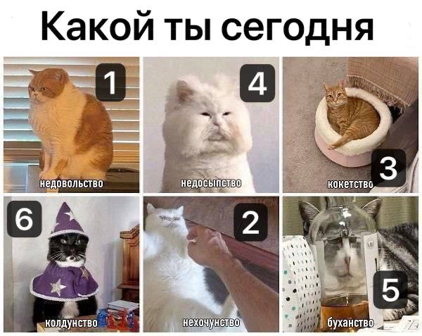 https://upforme.ru/uploads/001c/36/d0/49/146873.jpg