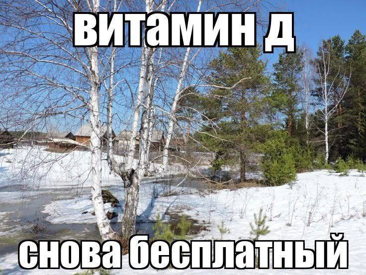 https://upforme.ru/uploads/001c/36/d0/49/398268.jpg