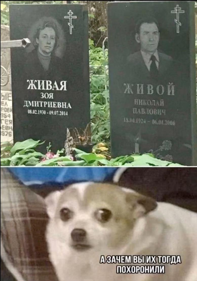 https://upforme.ru/uploads/001c/36/d0/49/622542.jpg