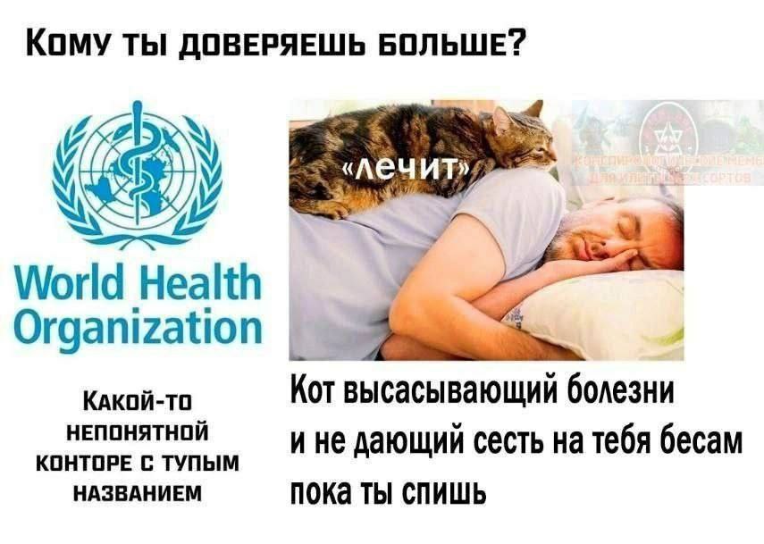 https://upforme.ru/uploads/001c/36/d0/49/654338.jpg