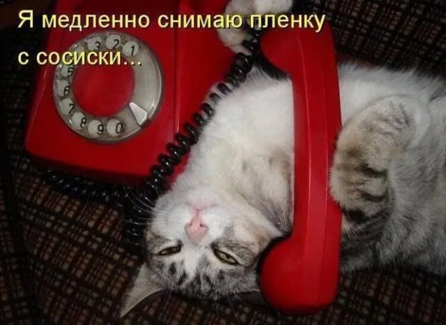 https://upforme.ru/uploads/001c/36/d0/49/655910.jpg