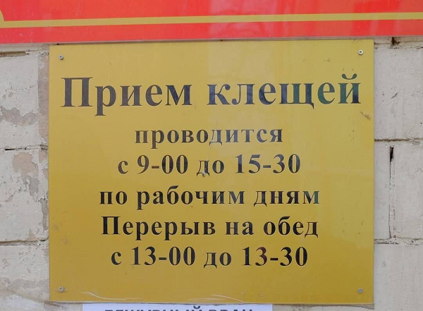 https://upforme.ru/uploads/001c/36/d0/49/681349.png