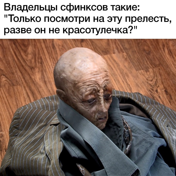 https://upforme.ru/uploads/001c/36/d0/5/198667.jpg