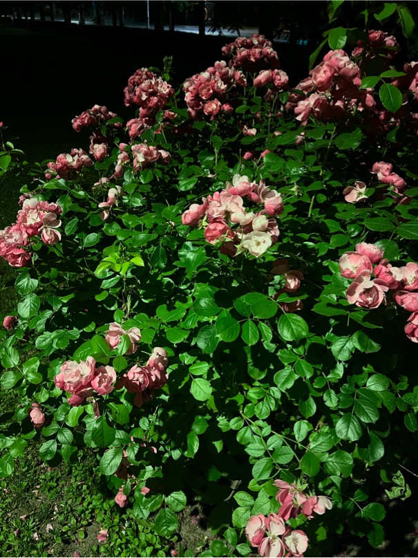 https://upforme.ru/uploads/001c/36/d0/5/251578.jpg