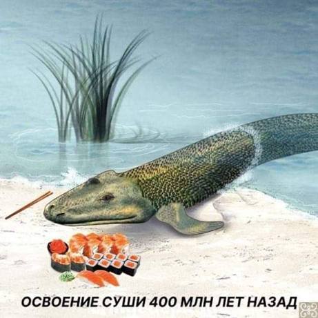 https://upforme.ru/uploads/001c/36/d0/5/376428.png