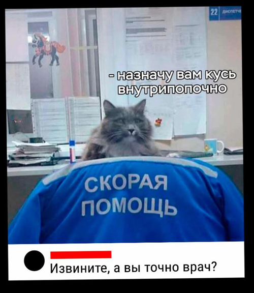 https://upforme.ru/uploads/001c/36/d0/5/420736.jpg