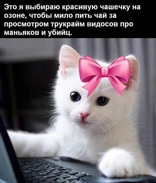 https://upforme.ru/uploads/001c/36/d0/5/447673.jpg