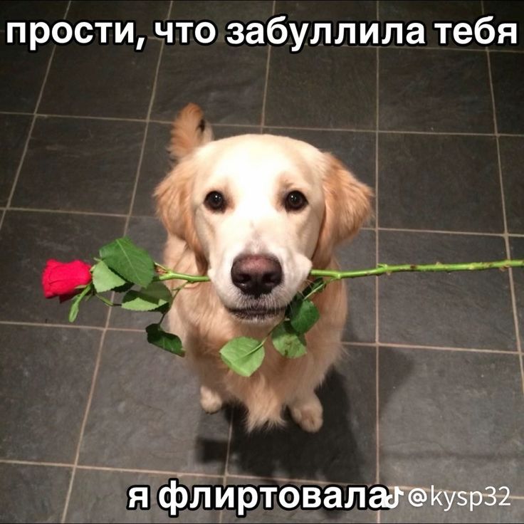 https://upforme.ru/uploads/001c/36/d0/5/493993.jpg