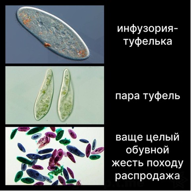 https://upforme.ru/uploads/001c/36/d0/5/575258.jpg