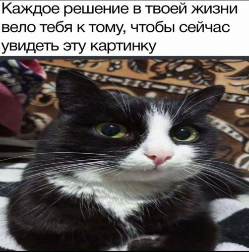 https://upforme.ru/uploads/001c/36/d0/5/598860.jpg