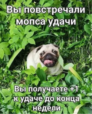 https://upforme.ru/uploads/001c/36/d0/5/668870.jpg