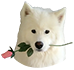 https://upforme.ru/uploads/001c/36/d0/5/711861.png