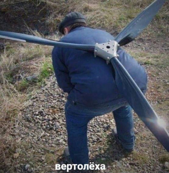 https://upforme.ru/uploads/001c/36/d0/5/73983.jpg