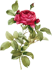 https://upforme.ru/uploads/001c/36/d0/5/806949.png