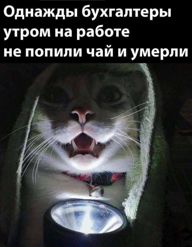https://upforme.ru/uploads/001c/36/d0/5/829880.jpg