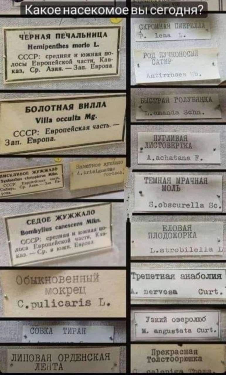 https://upforme.ru/uploads/001c/36/d0/5/835887.jpg