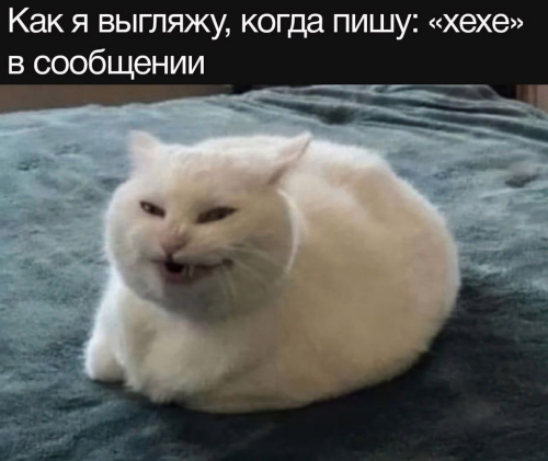 https://upforme.ru/uploads/001c/36/d0/5/896397.jpg
