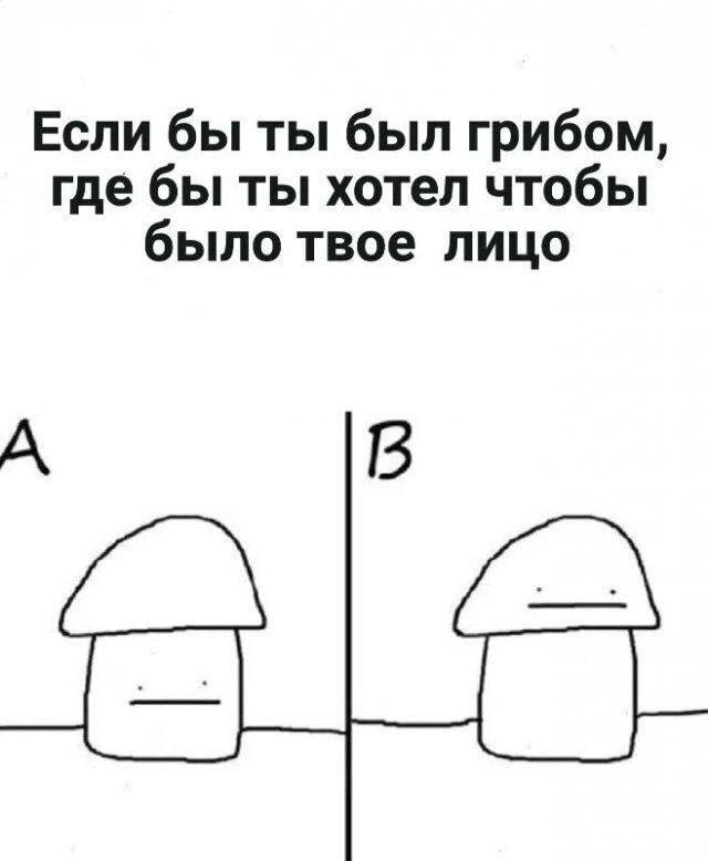 https://upforme.ru/uploads/001c/36/d0/5/897702.jpg