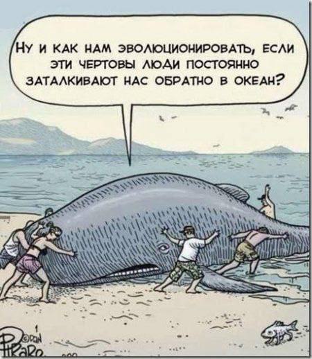 https://upforme.ru/uploads/001c/36/d0/5/903261.jpg
