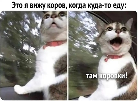 https://upforme.ru/uploads/001c/36/d0/5/942466.jpg
