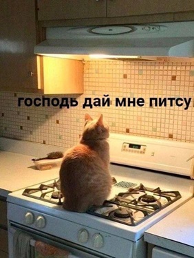 https://upforme.ru/uploads/001c/36/d0/73/452955.jpg