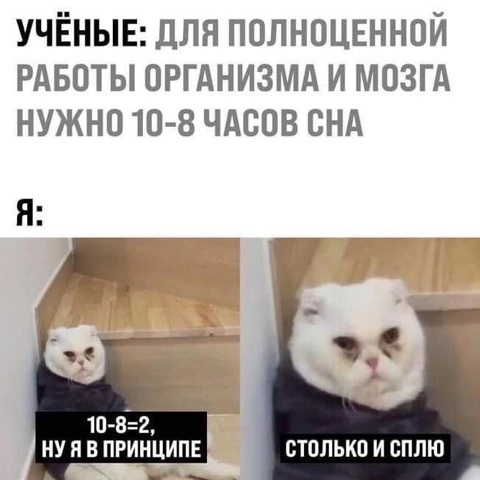 https://upforme.ru/uploads/001c/36/d0/73/489275.jpg